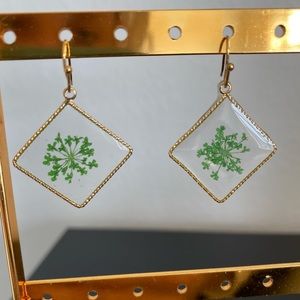 Dangle earrings from Franchescas. Never worn!